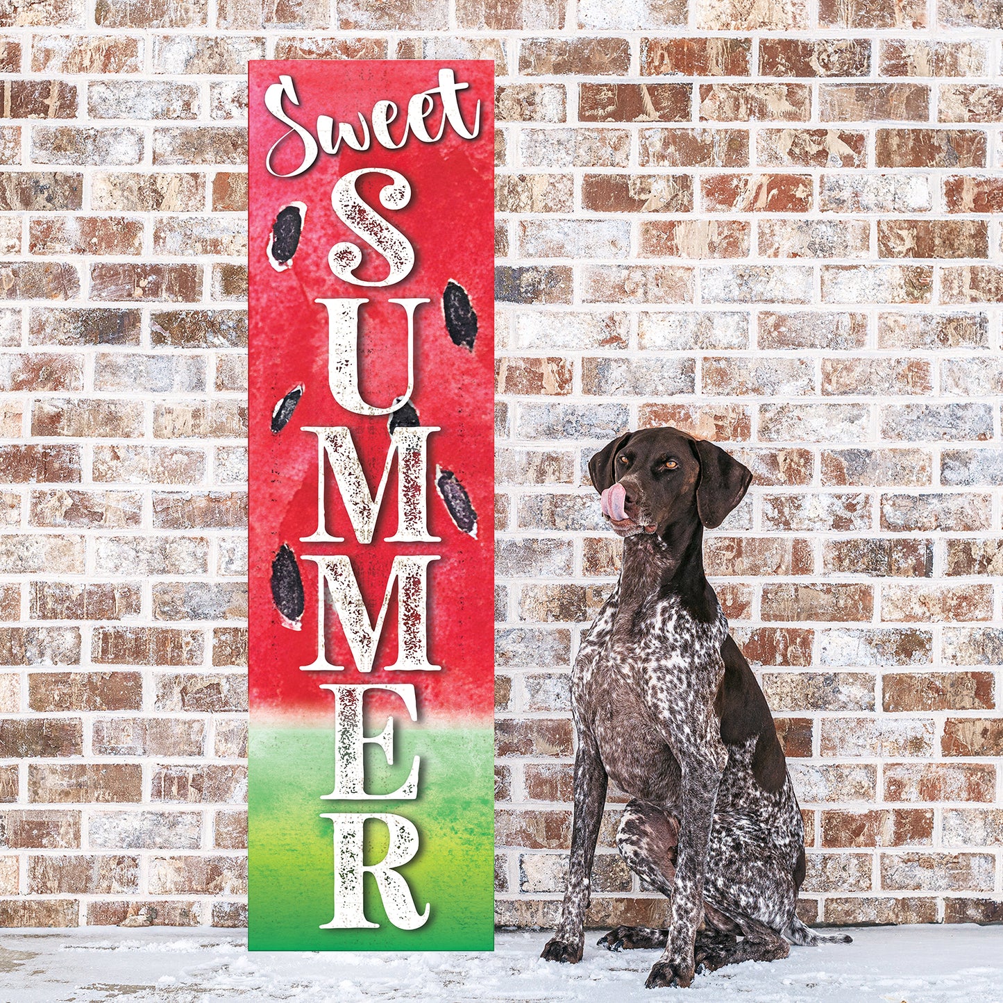 Sweet Summer Watermelon Welcome Porch Sign | Outdoor Front Door Decor | UV Print | Farmhouse Style | Multi Sizes and Patterns