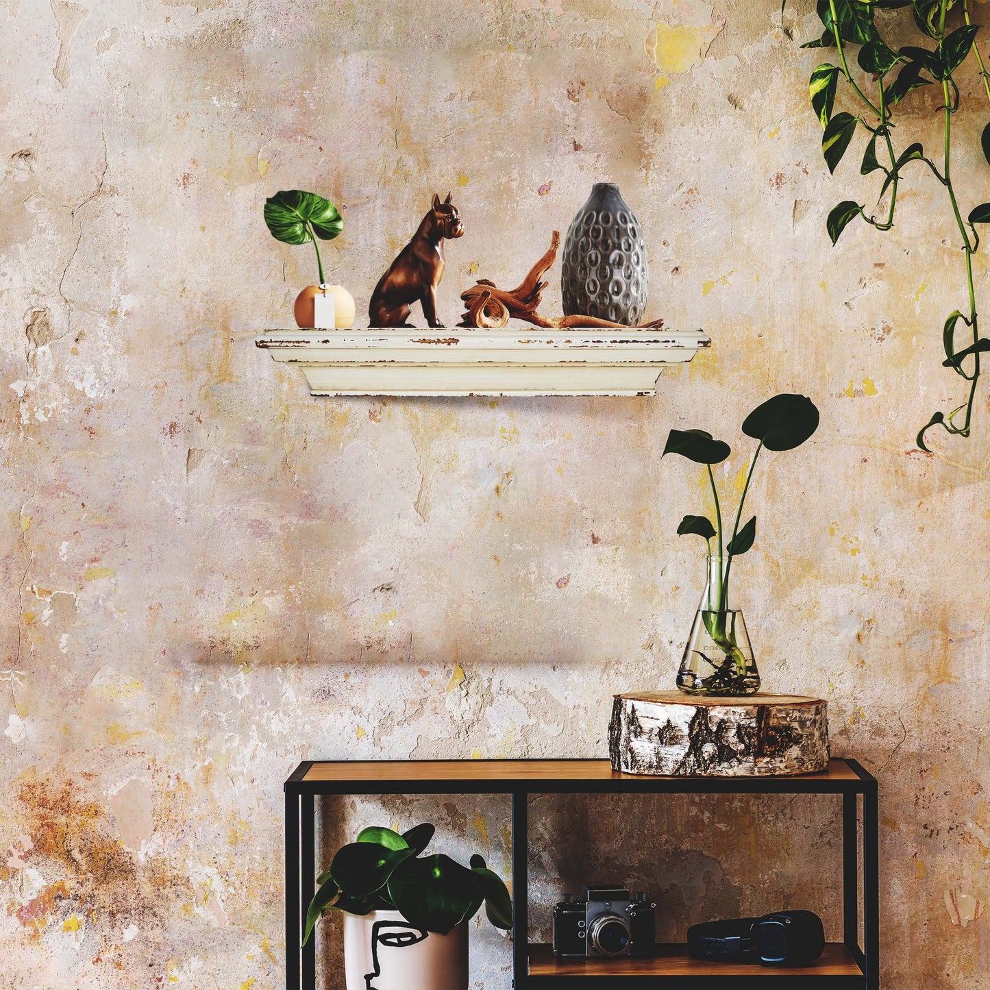 Cheyenne Wall-Mount Display Shelf, Wall Shelves Organizer for Bedrooms, Hallways, Stairways, Entryways, Kitchens, and Bathrooms