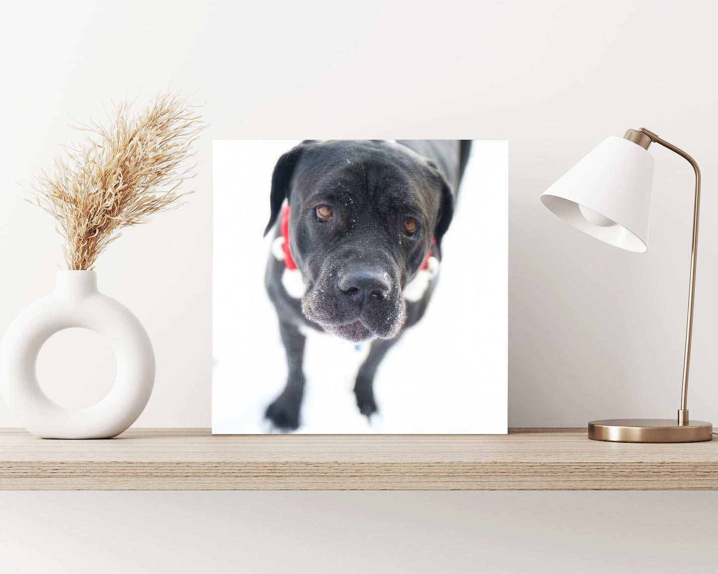 12in Unique Personalized Print Canvas | Photo Canvas, Custom Canvas Prints for Your Photos