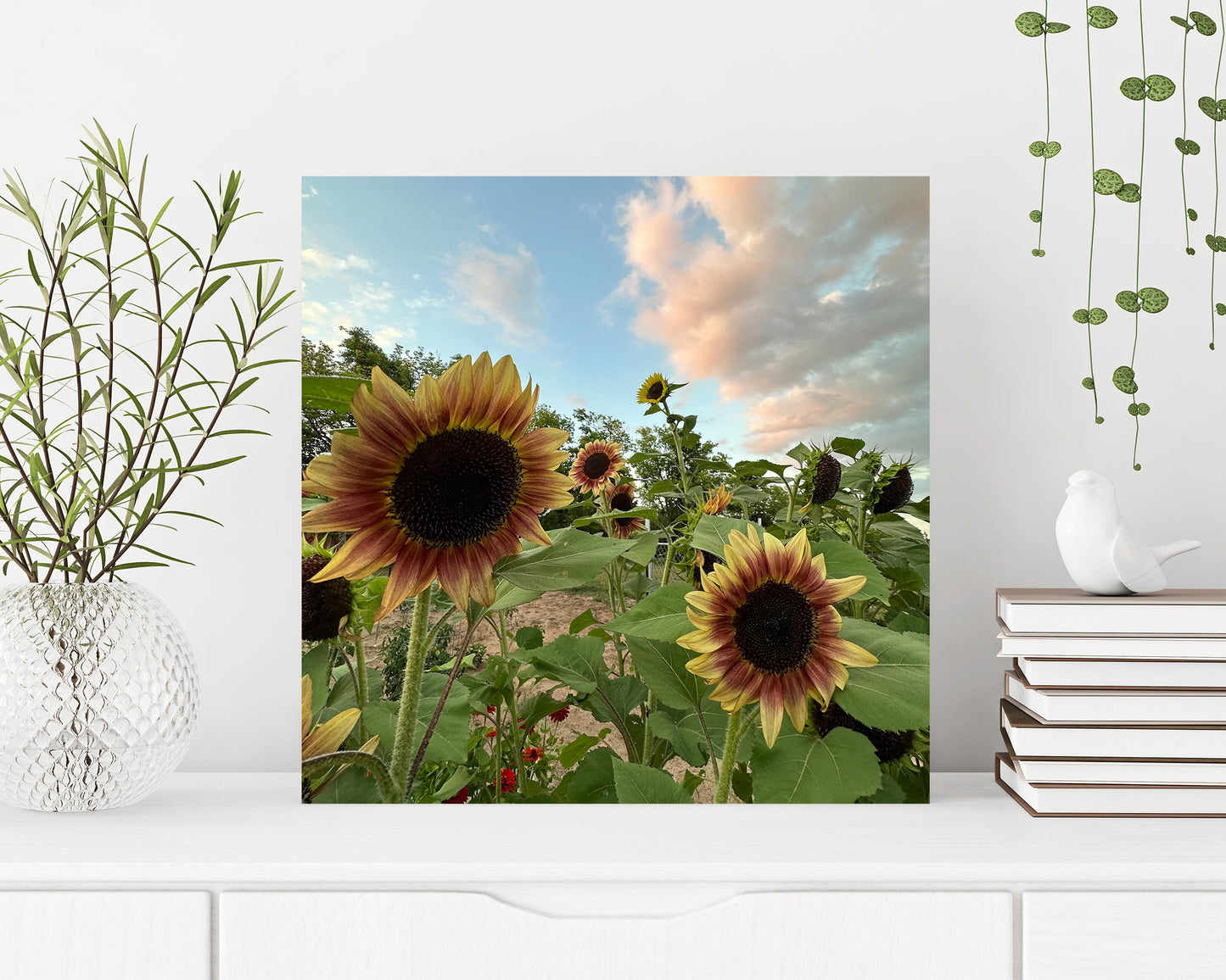 12in Unique Personalized Print Canvas | Photo Canvas, Custom Canvas Prints for Your Photos