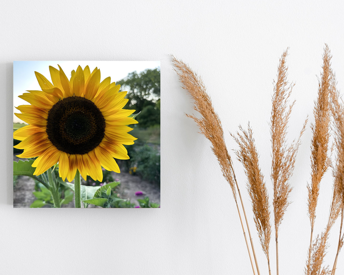 12in Unique Personalized Print Canvas | Photo Canvas, Custom Canvas Prints for Your Photos