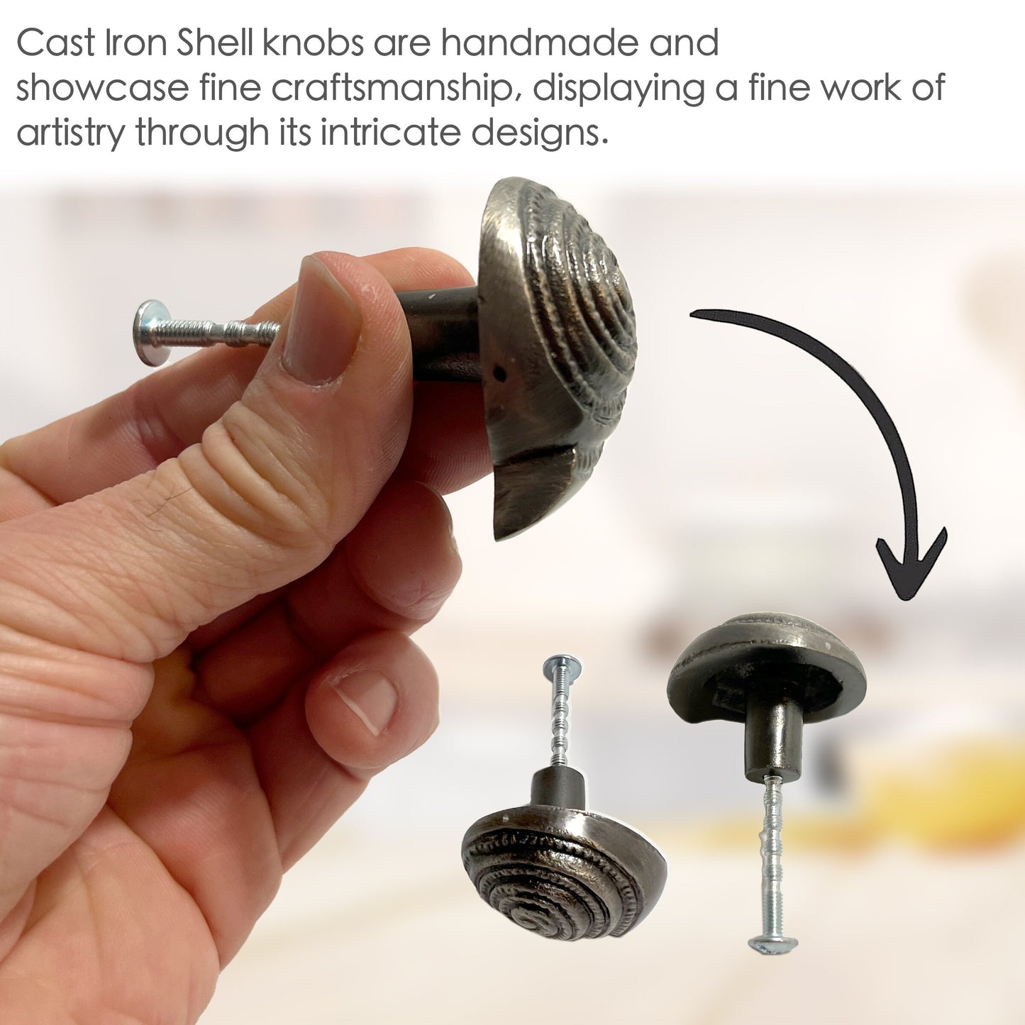 Cast Iron Shell Cabinet Knobs 6 Pack Knobs for Cabinets and Drawers, Closet Door Knobs, Drawer Pulls and Knobs with Mounting Screws